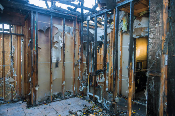 Professional Soot Cleanup technician working in Mayer, MN