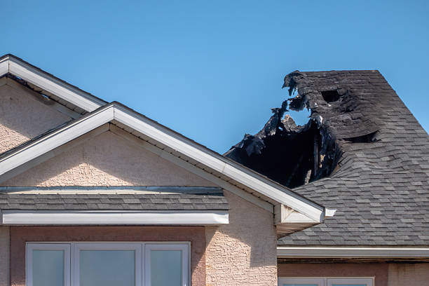 Top rated local Soot Cleanup specialists in Mayer, MN